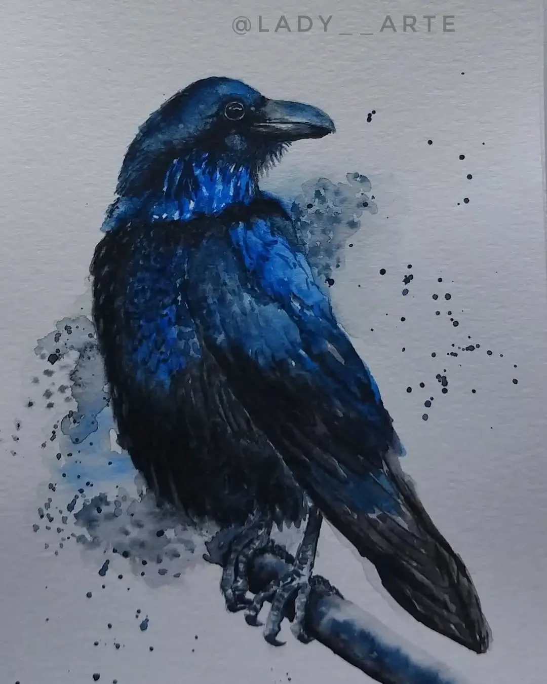 Pintura en acuarela de un cuervo posado.